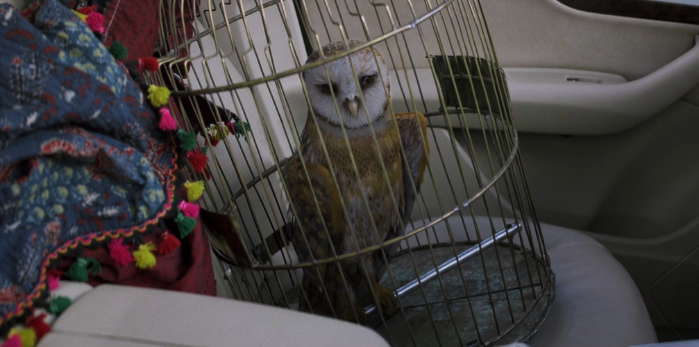 Sadak 2 Owl