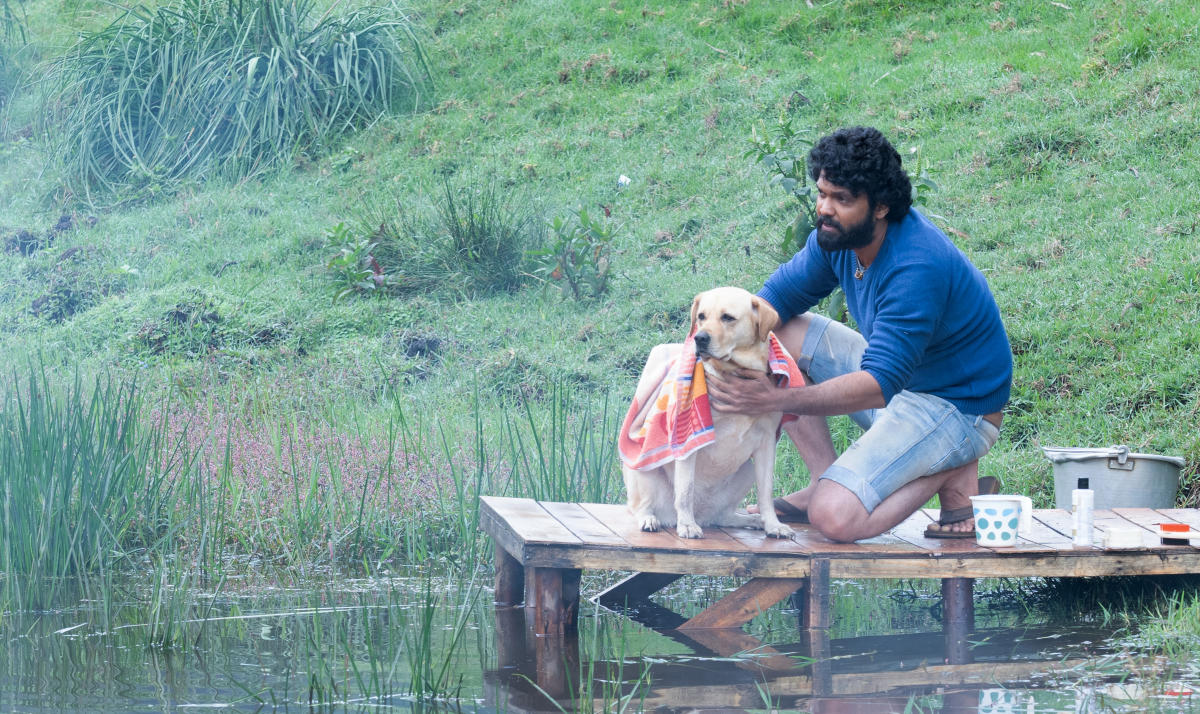Rakshit Shetty in Charlie Kannada Film