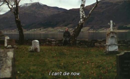 Liv Ullmann Autumn Sonata