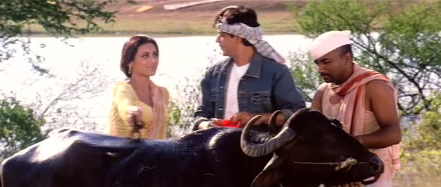 Chalte Chalte Shah Rukh Khan Rani Mukerji Buffalo